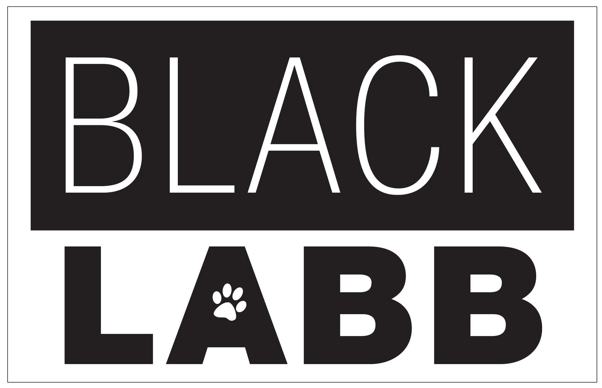 Black LABB Clothing - Women's Regular and Plus Size Clothing Wholesale